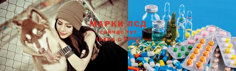 как найти   Баксан  Лсд 25 экстази ecstasy 